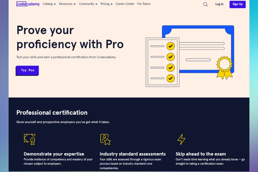 Which Fields Benefit Most From Codecademy Professional Certification Which Fields Benefit Most From Codecademy Professional Certification