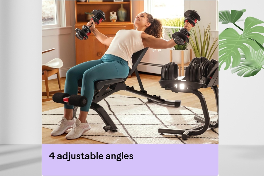 10 best Home gym bench in 2024 Bowflex 5.1S Stowable Bench Features and Benefits