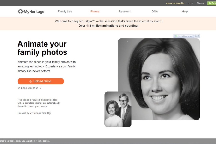 MyHeritage DNA – Leading DNA Testing Service to Research Family History and Ancestors 3