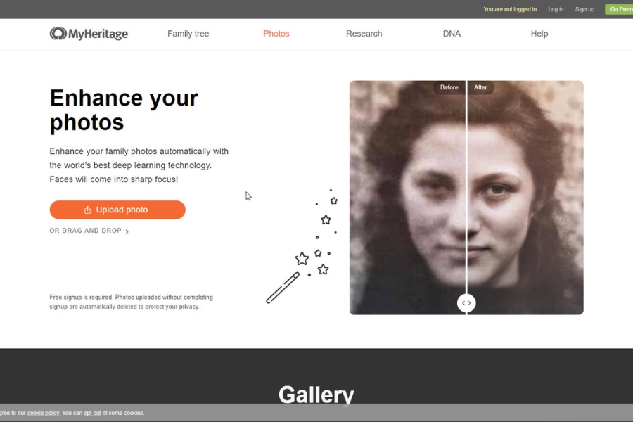 MyHeritage DNA – Leading DNA Testing Service to Research Family History and Ancestors 7