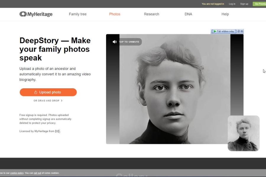 MyHeritage DNA – Leading DNA Testing Service to Research Family History and Ancestors 8