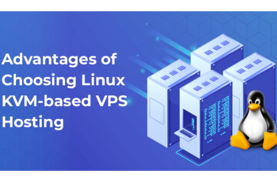 What are the advantages and disadvantages of Accweb Hosting's linux web hosting plans