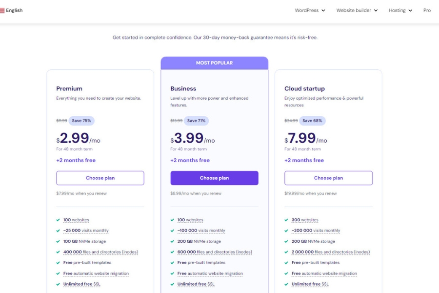 What are the different hosting packages offered by hostinger