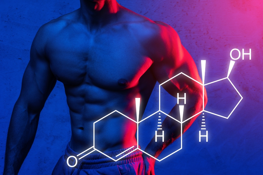 What is Testosterone? The best effects of Testosterone on the male body What is Testosterone The best effects of Testosterone on the