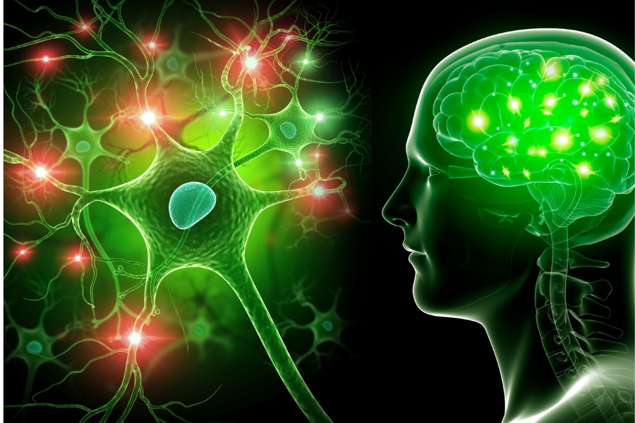 What is Testosterone? The best effects of Testosterone on the male body What is Testosterone The best effects of Testosterone on the 7