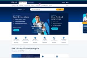 ionos hosting - A roundup of questions you need to know about this web hosting provider